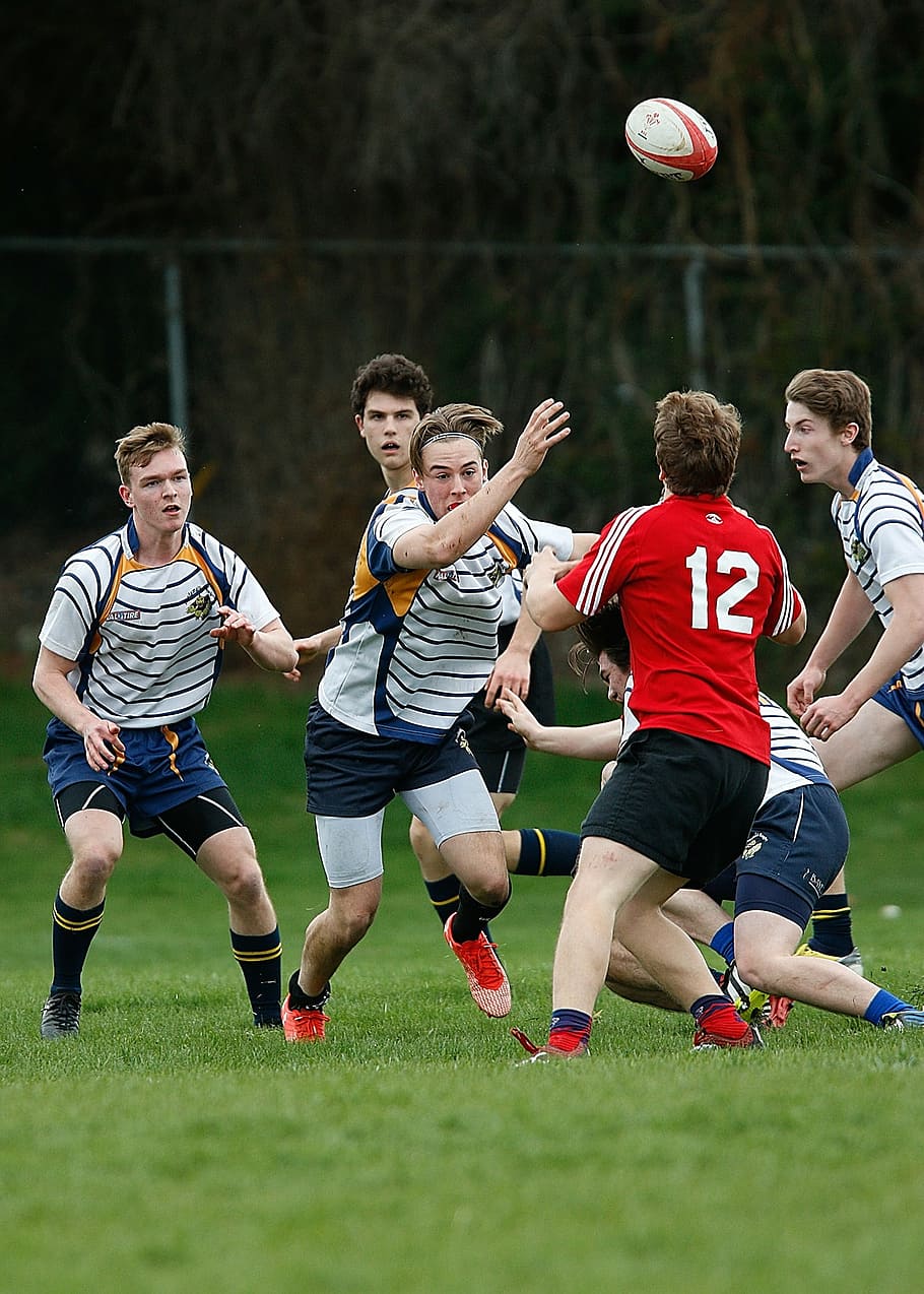 rugby, game, athletes, ball, sport, competition, play, player, team, league