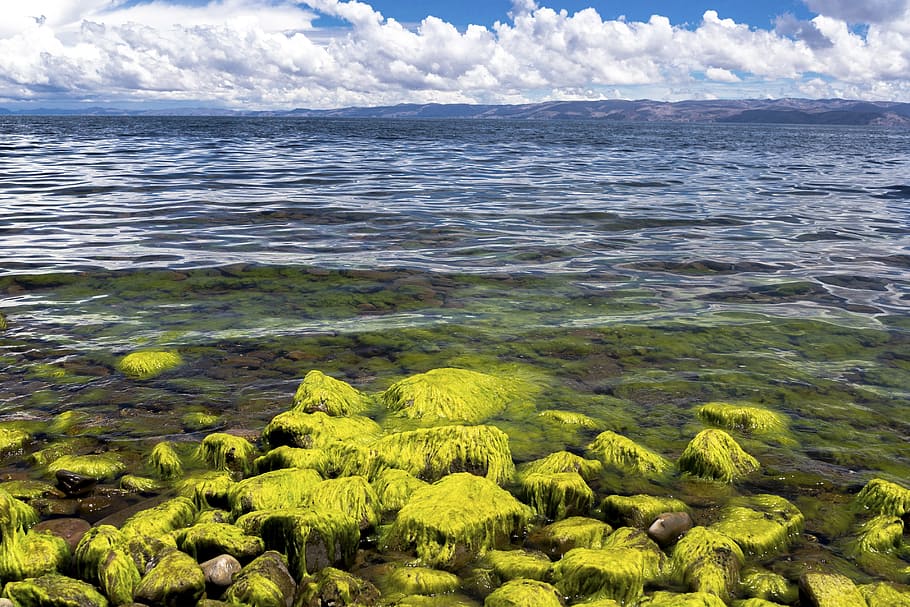 Море это водоем. Nature body.