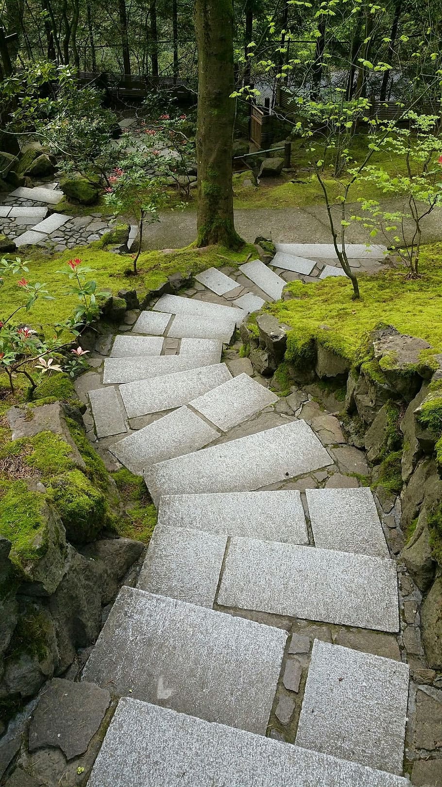 camino, jardín japonés, portland, caminar, zen, meditar, arquitectura, cultura, planta, escalera