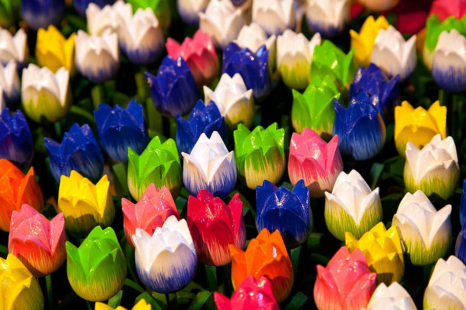 assorted-color artificial flowers, amsterdam, background, close-up, collection, color, colored, colorful, display, dutch