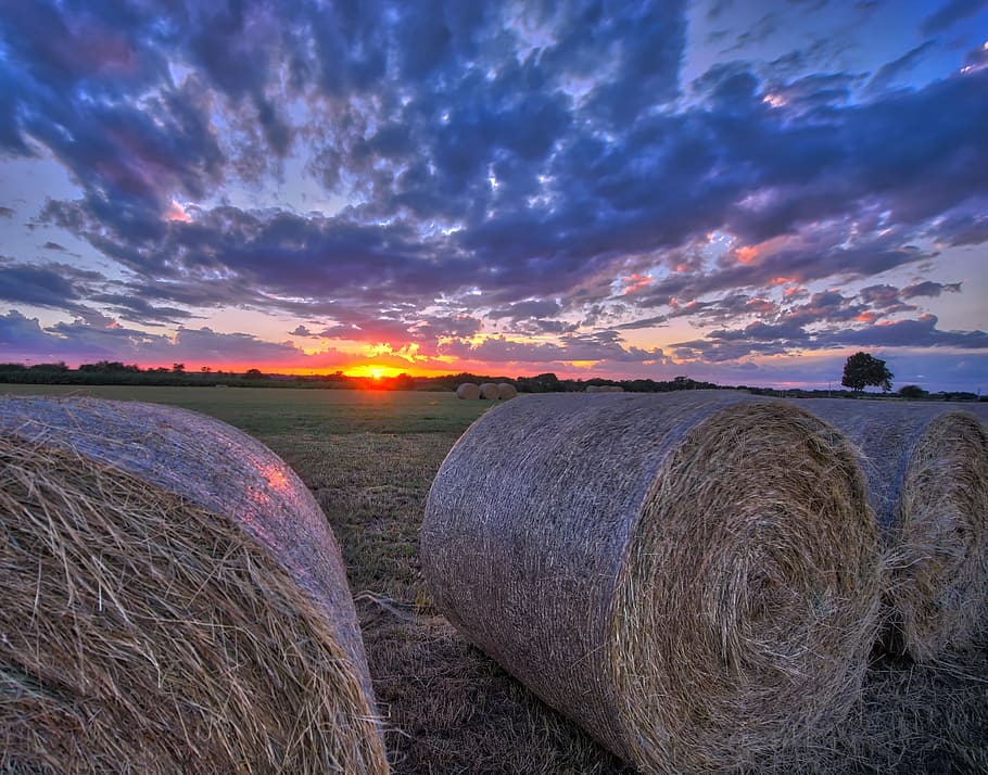 Hay, Bales, Sunset, pack, grass, field, sky, cloud - sky, scenics - nature, bale