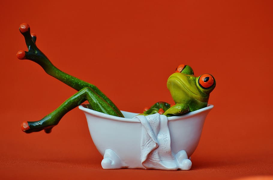 frog in bathtub, frog, bath, swim, relaxation, relax, funny, body care, figure, fun