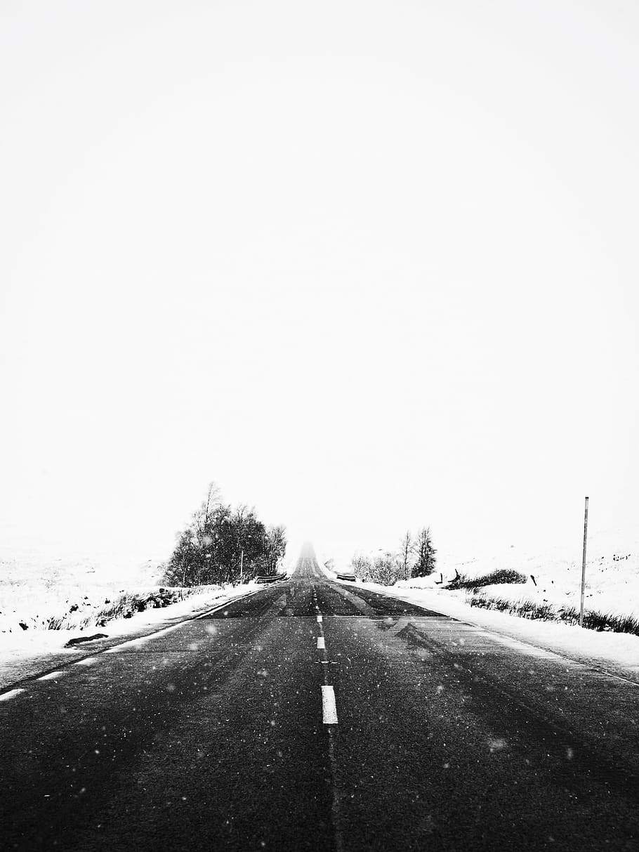 Fotografía en escala de grises, carretera, nieve, invierno, blanco, frío, clima, hielo, árboles, plantas