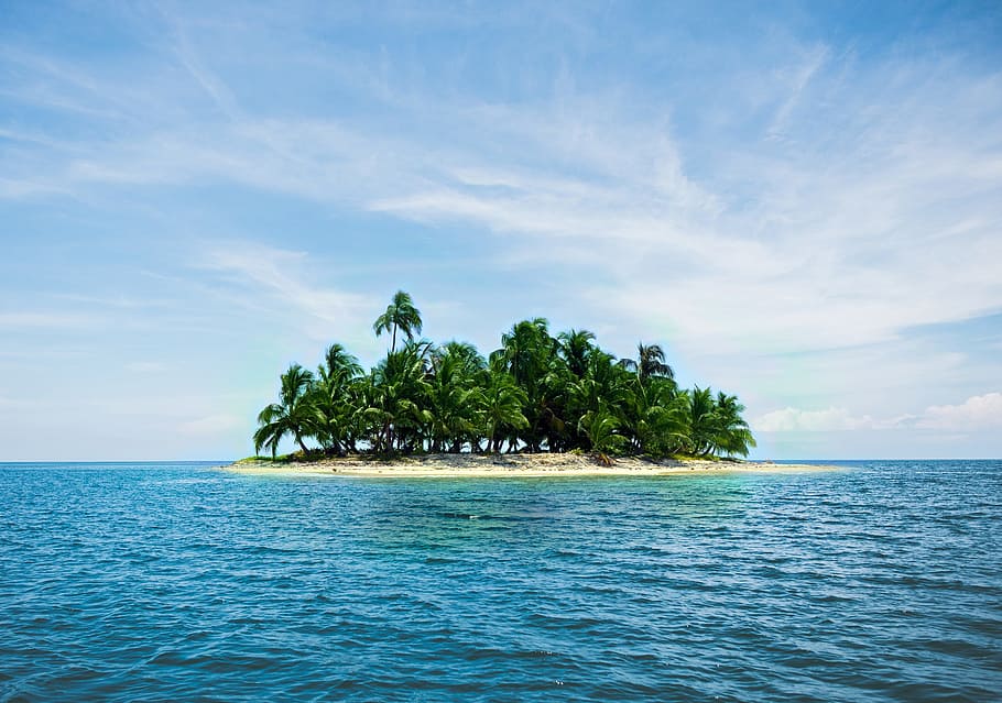 green, coconut tree, island, surrounded, ocean, holiday, caribbean, palm trees, sand, sea