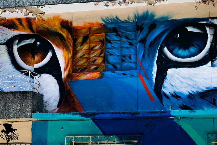 graffiti, tiger, cat, feline, mural, commune, medellin, colombia, art, urban
