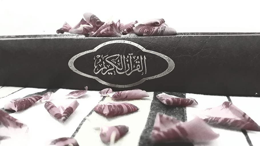 kotak hitam, quran, bunga, buku, agama, islam, hitam, teks, tidak ada orang, komunikasi