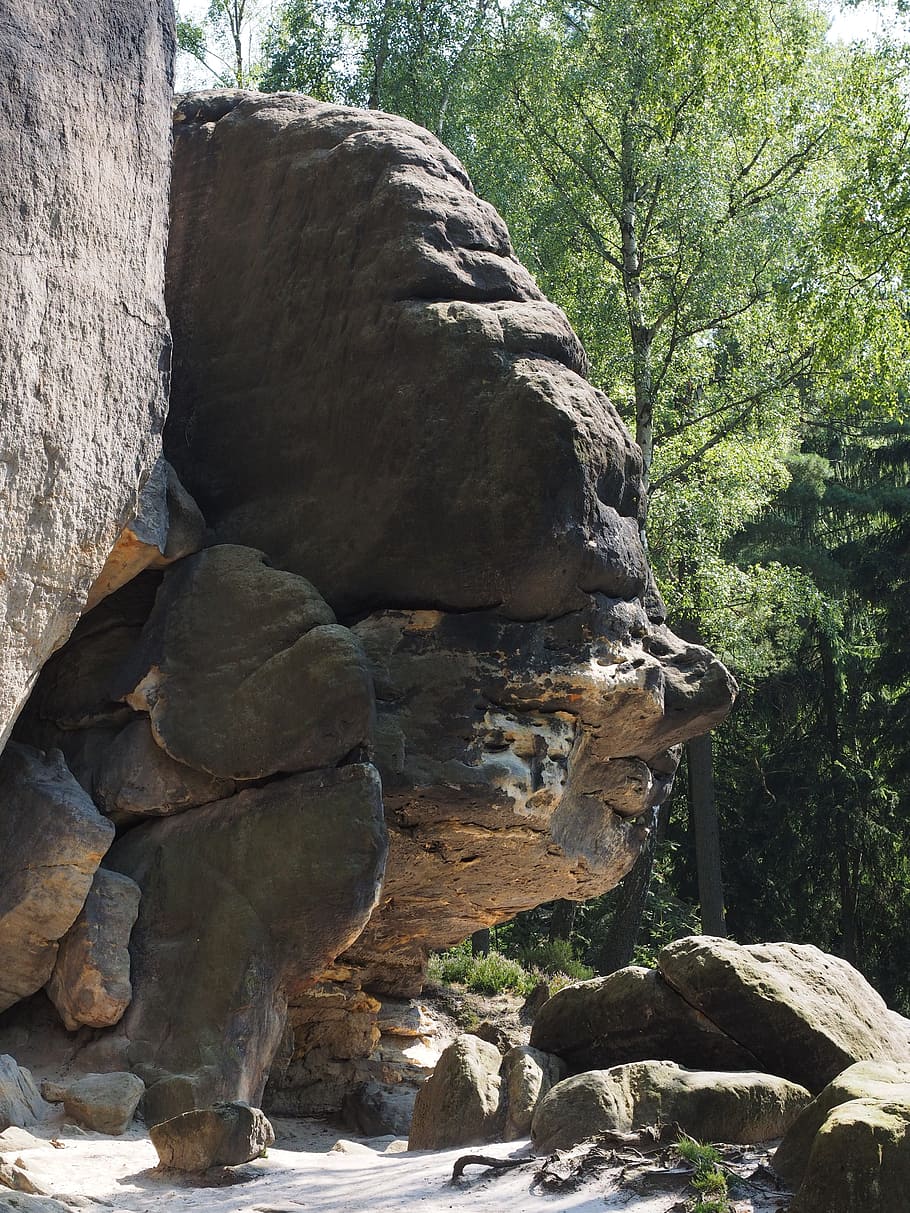 roca, cara de roca, cara, figura de roca, Frienstein, arenisca del elba, caminata, rocas de arenisca, paisaje, formación de piedra