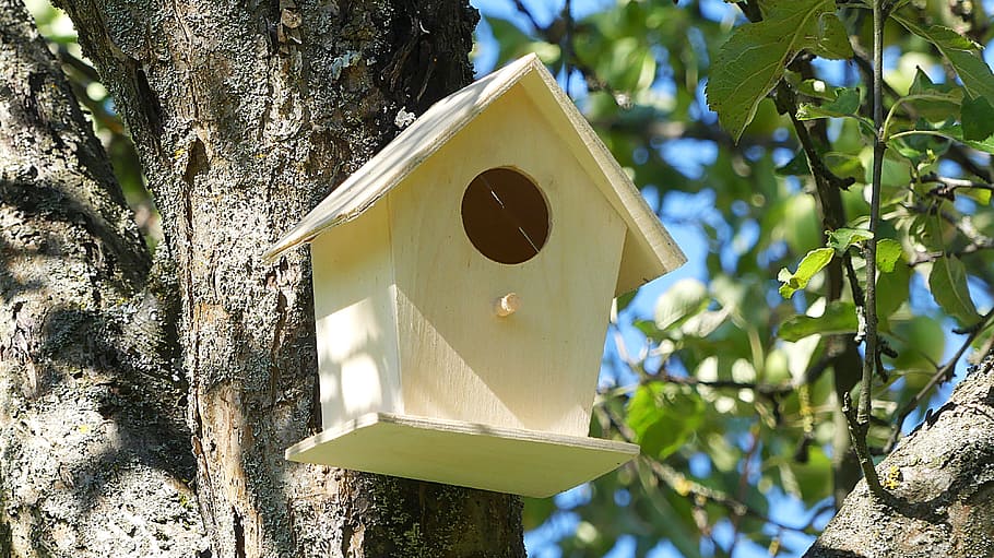 aviary, bird's nest, nesting place, bird feeder, nesting box, tree, plant, birdhouse, nature, tree trunk