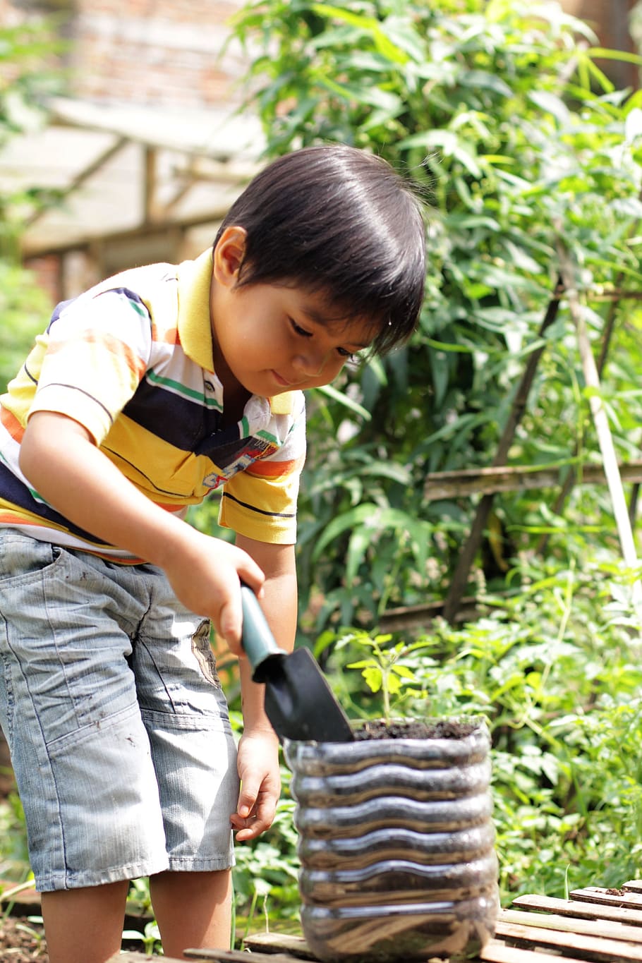 boy, filling, soil, planting, pot, tomato, gardening, growing, plant, young