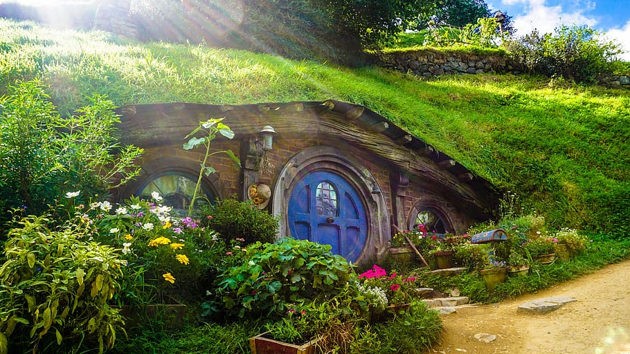 casa, peculiar, filme, hobbit, hobbiton, nova zelândia, plantas, arbustos, flores, verde