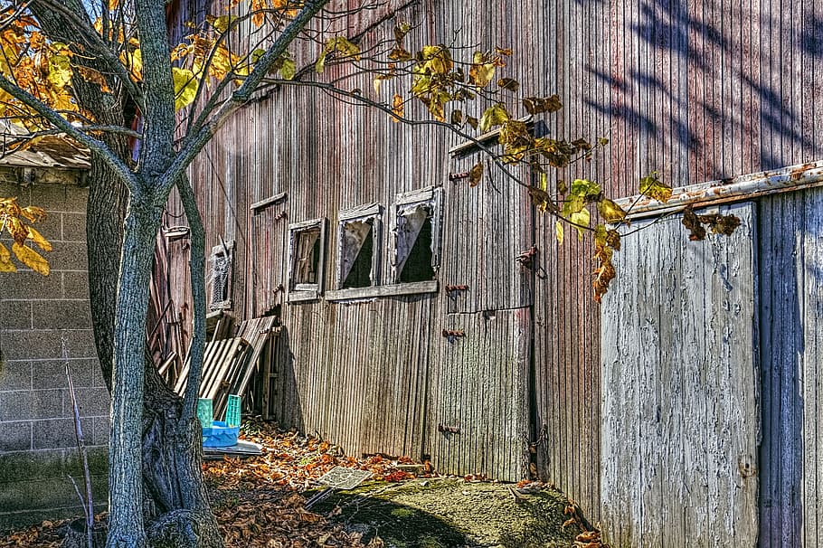 shed, sheds, barns, rustic, art, digital art, artistic, ohio, rural, country