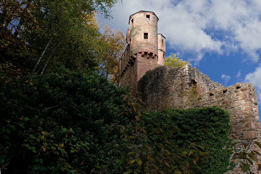 neckarsteinach, kastil, neckar, kehancuran, burgruine, jerman, abad pertengahan, odenwald, menara, benteng