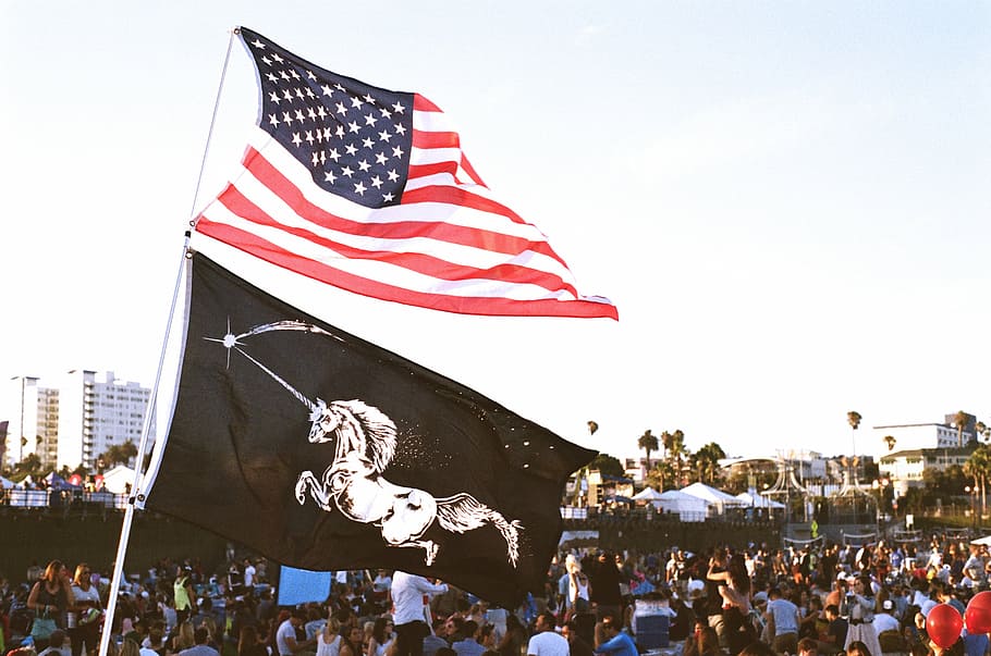 bendera usa, hitam, orang-orang, merayakan, amerika, kemerdekaan, hari, siang hari, bendera, amerika serikat