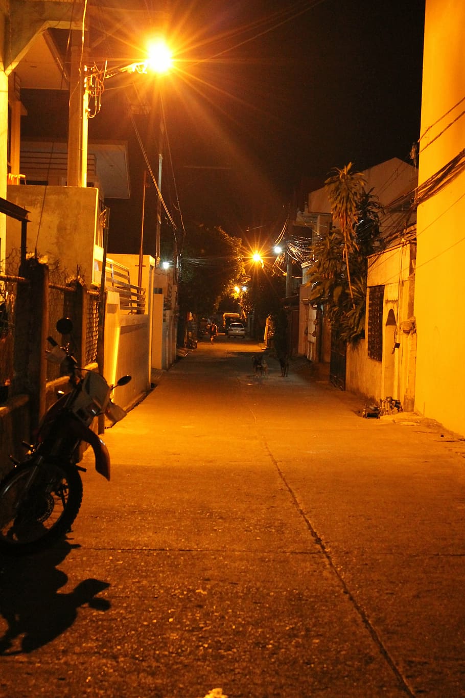 streetlight, bright, street, night, city, nobody, road, empty, alone, architecture