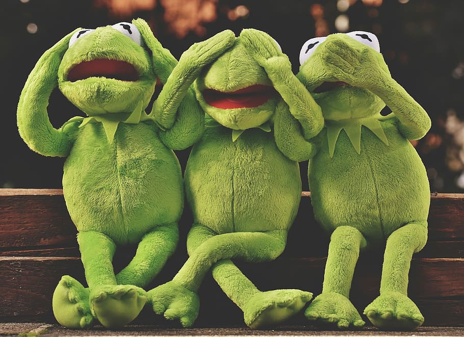 kermit, frog photo, not hear, not see, do not speak, funny, frog, cute, fun, green