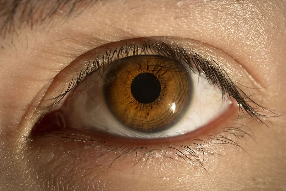 eye, eyes, to watch, look, eyesight, human eye, eyelash, sensory perception, human body part, body part
