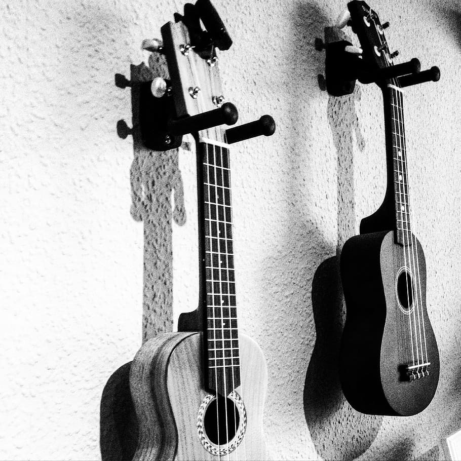 dos, ukelele, pared, música, páginas, instrumento musical, gris, instrumento, cuerpo de sonido, instrumento de cuerda