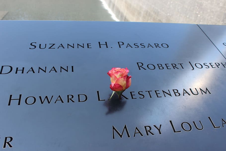 ground zero, 911, september, manhattan, nyc, new york city, tribute, birthday flower, rose, memorial