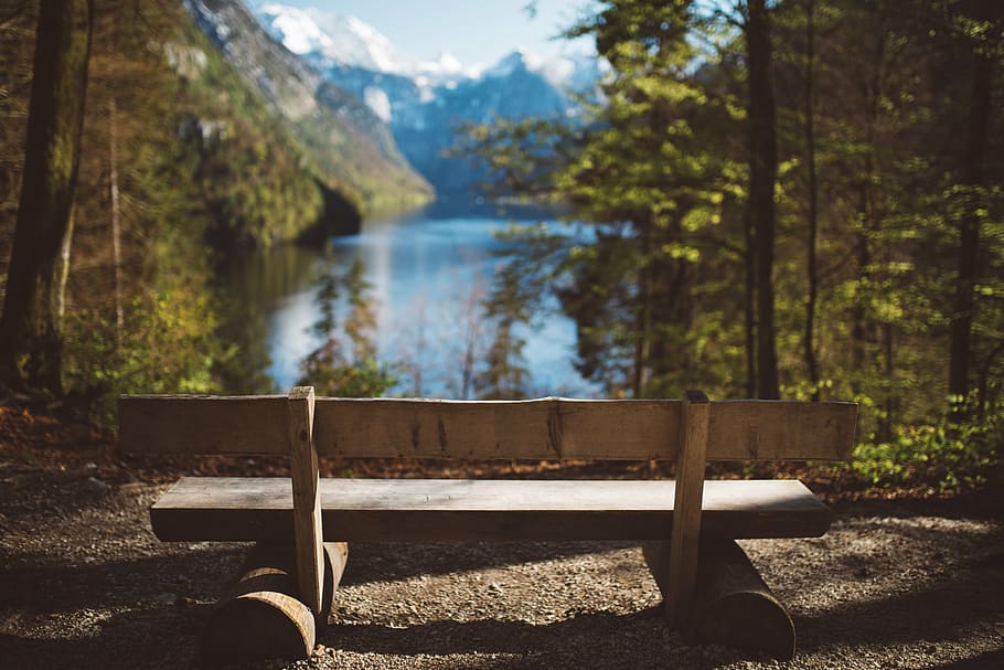 brown, wooden, bench, facing, body, water, green, trees, plant, nature