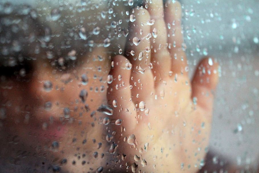 사람, 감동, 명확한, 유리, 비오는 창, 손, 그림자, 비오는 날, 젖은, 창문