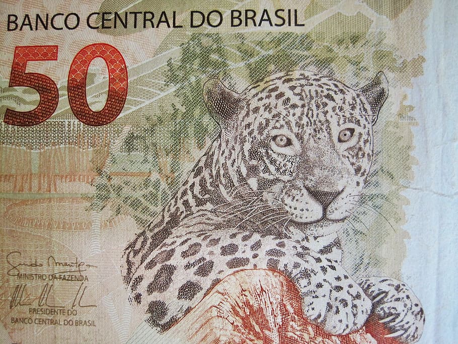 50 uang kertas, mata uang brazilian, lima puluh sentuhan nyata, uang kertas, uang, mata uang brazil, jaguar, brl, banco central do brasil, cinquenta reais