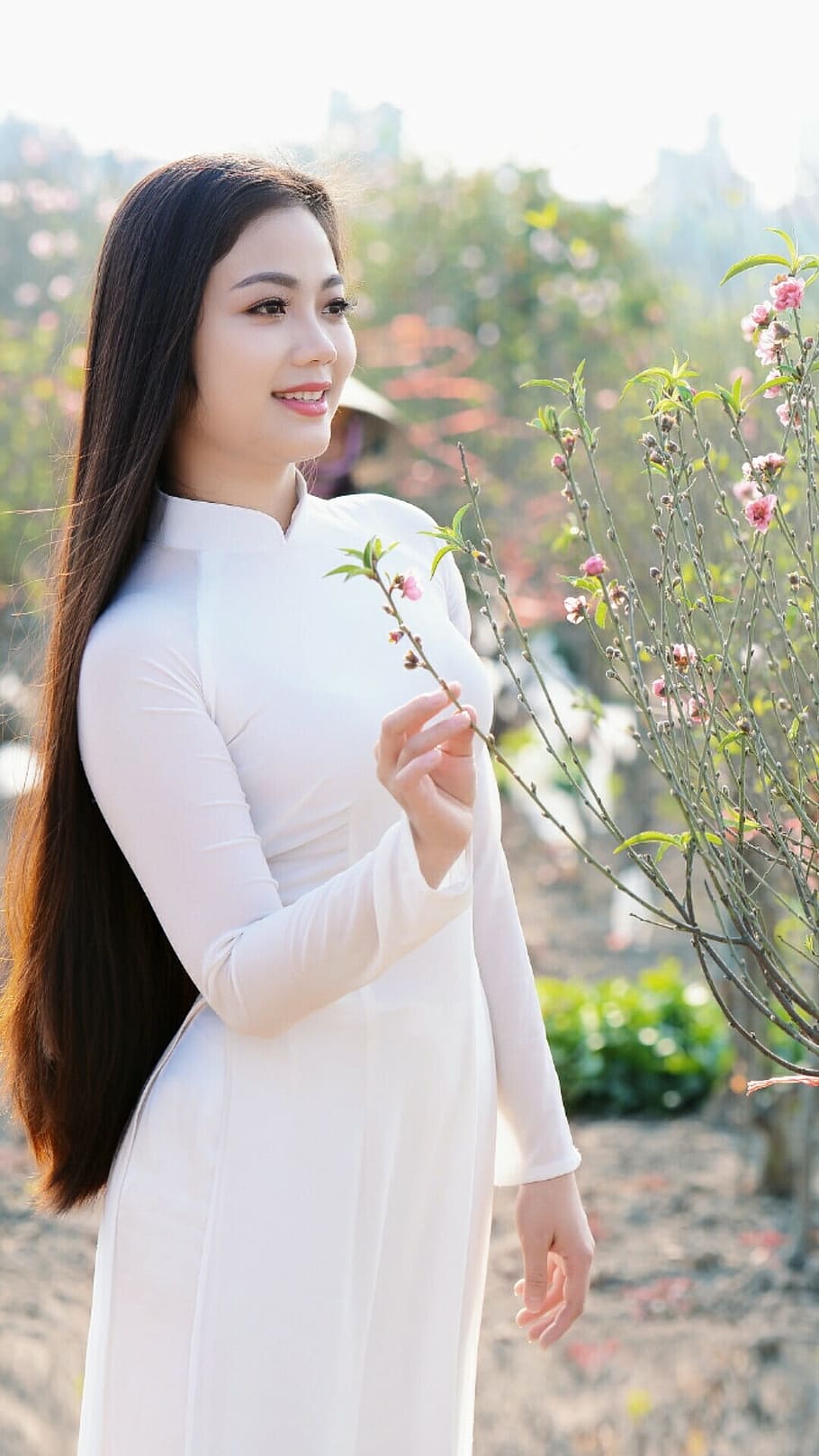 woman, wearing, white, long-sleeved, dress, pink, petaled flower plant, hot girl, daughter of vietnam, vietnam girl