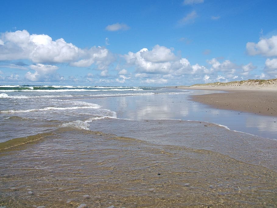 seashore during daytime, North Sea, Watts, Wadden Sea, Sea, Beach, beach, nordfriesland, water, gloss, coasts