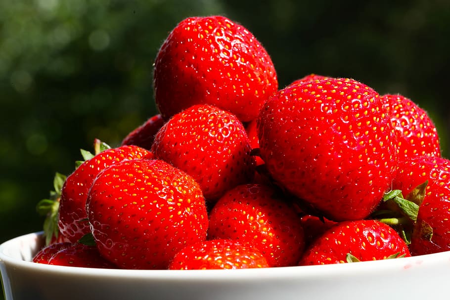 strawberries, strawberry, summer, red, fetus, garden, jahodiní, plant, crop, food