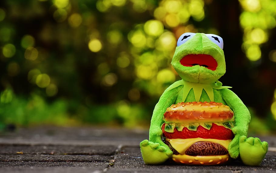 kermit, frog, cheeseburger, hamburger, funny, animal, stuffed animal, soft toy, toys, children