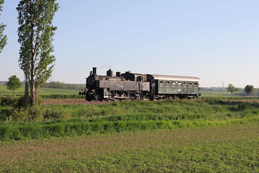 Steam Locomotive, Railway, Row, row 93, austria, bundesbahn, öbb, special crossing, pulkautal, peigarten