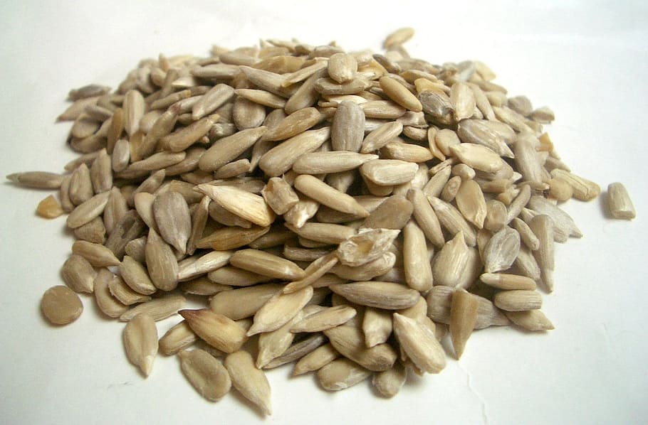 pumpkin seed close-up photo, sunflower seeds, cores, nuts, snack, food, food and drink, seed, large group of objects, healthy eating