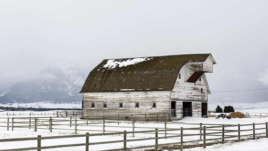 Barn, Enterprise, area, Oregon, wooden, house, snow, cove, ground, daytime
