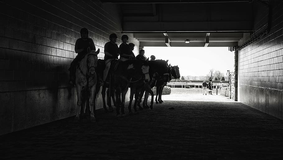horse race, race track, derby, sport, horse racing, animal, motion, competitor, power, equestrian