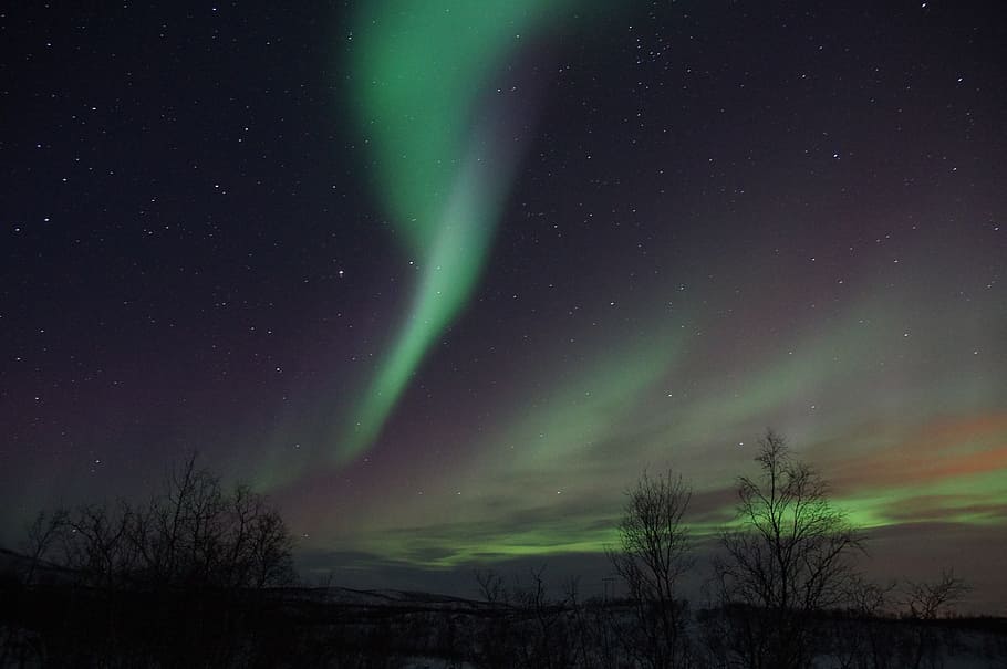 lampu utara, swedia, lapland, aurora borealis, malam, bintang - ruang, keindahan di alam, ruang, scenics - alam, langit