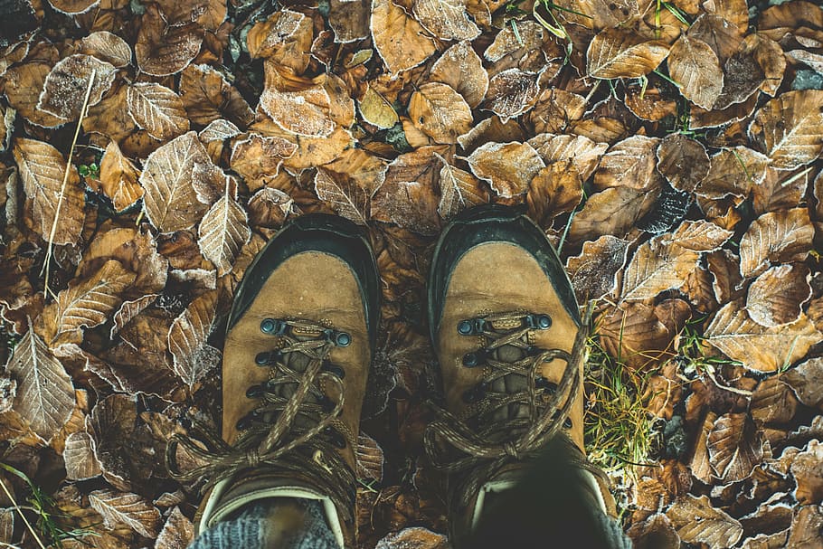 person, wearing, brown-and-black leather, hiking, boots, standing, ground, brown, leaves, shoes