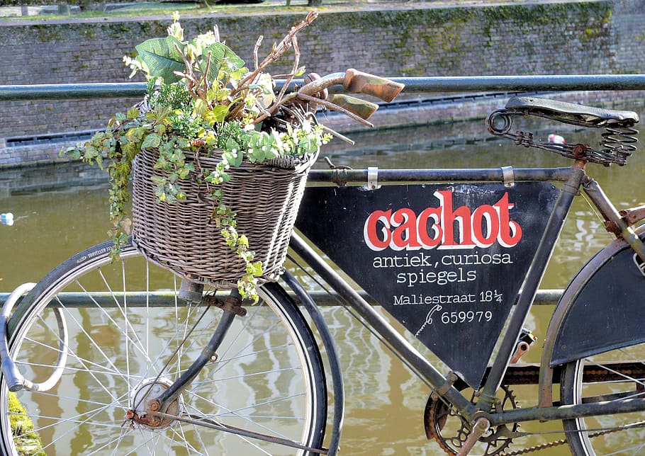 Billboard, Old, Bicycle, The Hague, old bicycle, holland, sales, text, transportation, day