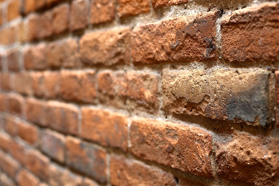 shallow, focus photography, brown, brick, red brick, brick wall, wall of bricks, bricks, wall, red