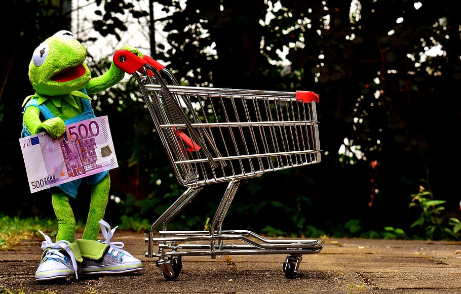 kermet, holding, 500 banknote, pushing, Kermit, Shopping Cart, Frog, shopping, fun, stuffed animal