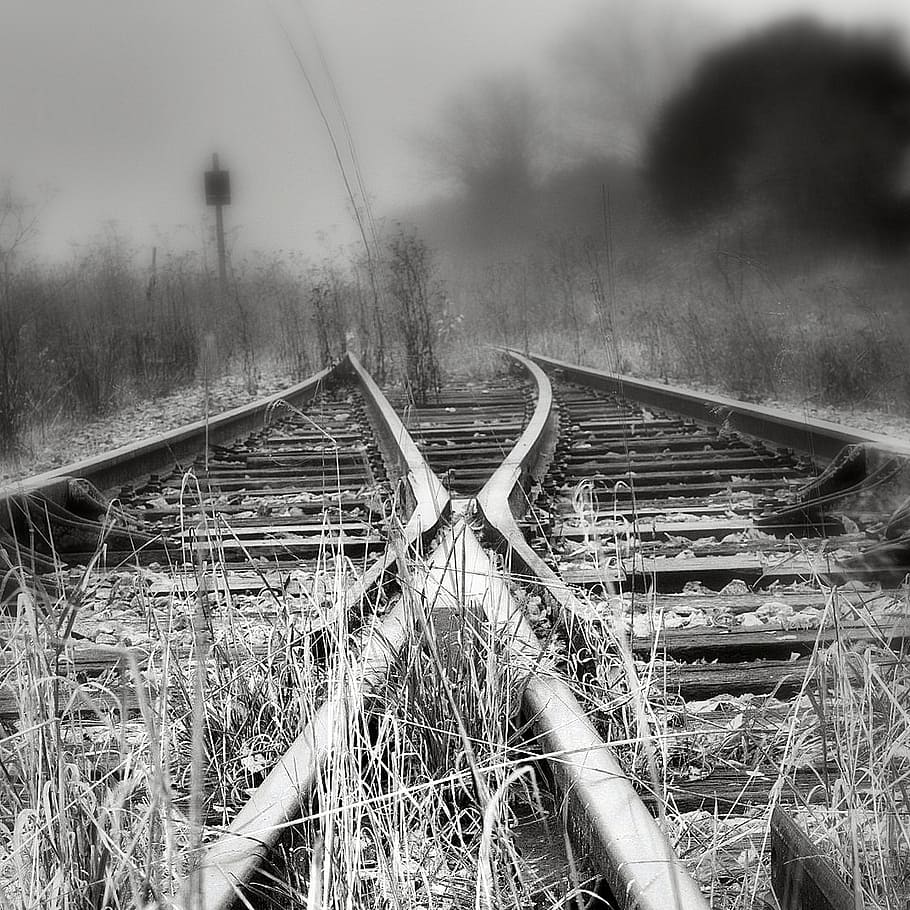 grayscale photography of railroad, rail transportation, plant ...