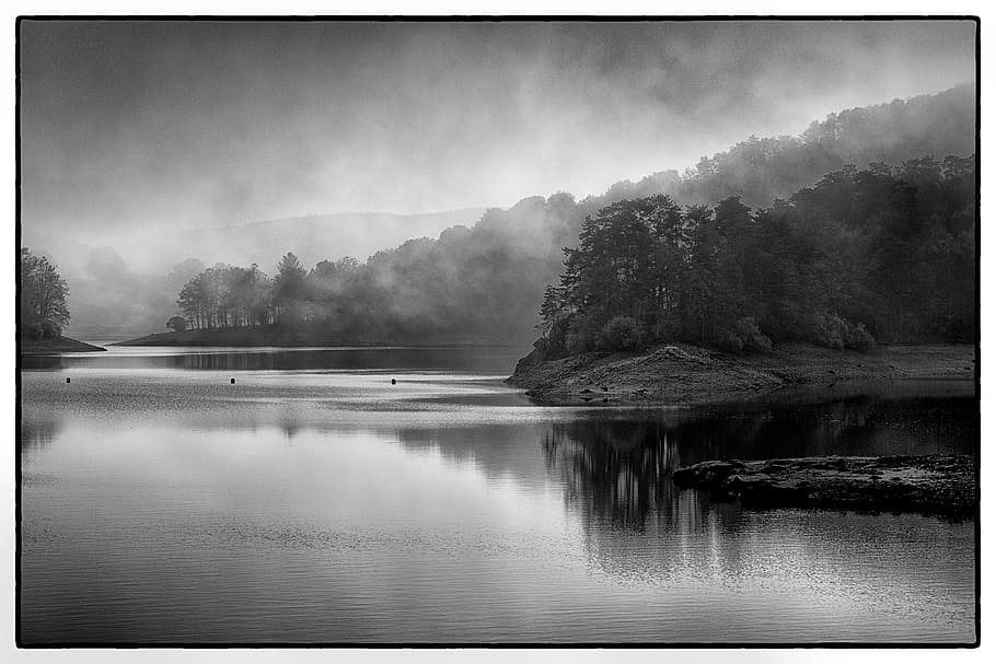 greyscale photo, lake, trees, morvan, landscape, countryside, light and shade, france, nature, burgundy