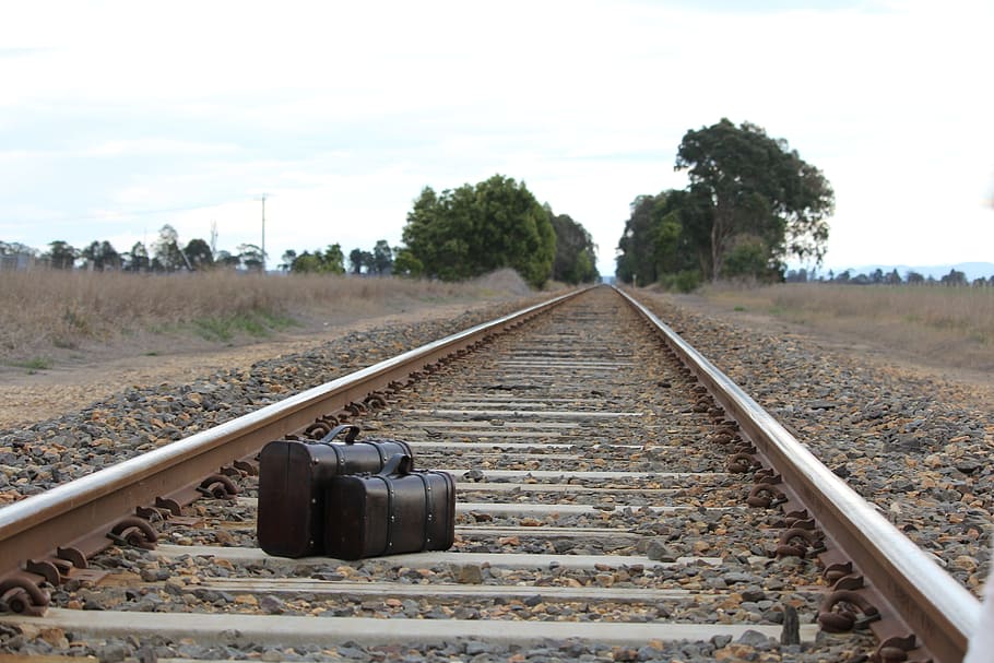 suitcase, cases, train, tracks, railway, rail transportation, railroad track, track, tree, plant