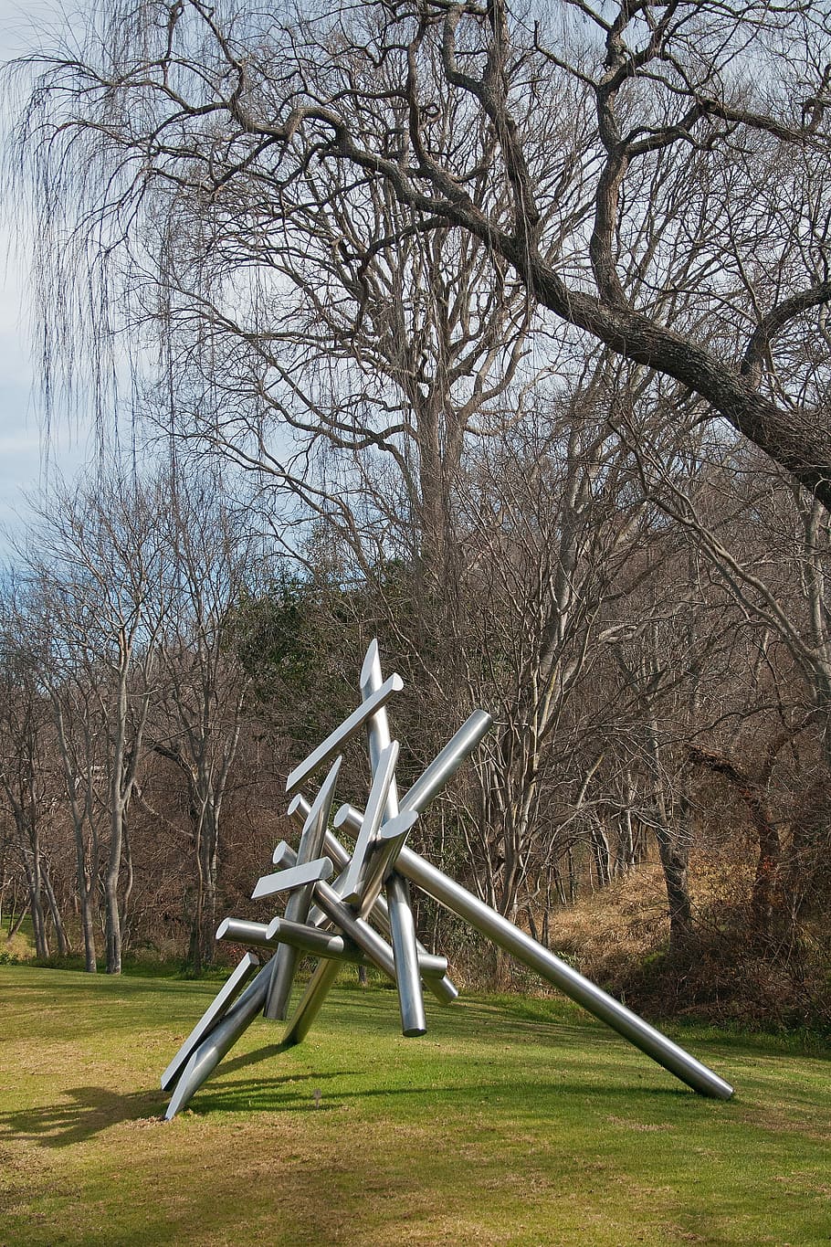 Sculpture, Metal, Poles, Pipes, Shiny, structure, intersecting, park, tree, bare tree