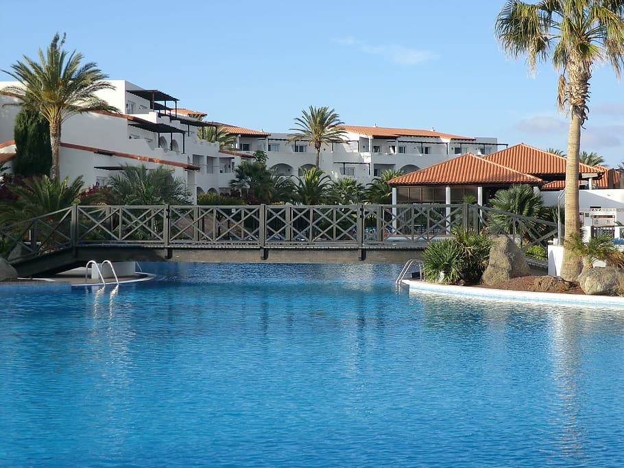 Férias, Fuerteventura, Espanha, Ilhas Canárias, verão, planta, hotel, lazer, piscina, palmeira