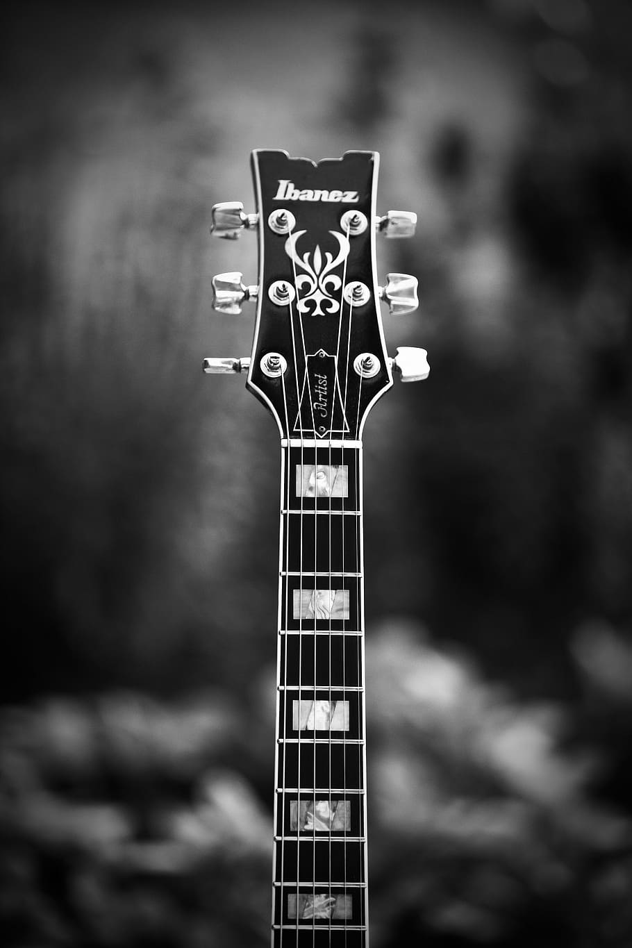 gitar, musik, selai, fokus pada latar depan, tidak ada orang, hari, close-up, alam, logam, di luar ruangan