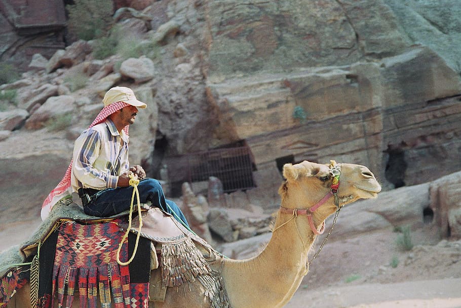 man riding camel, bedouin, dromedary, petra, the red, the colorful, siq, jordan, nabataeans, holiday