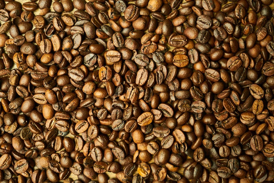 coffee beans, coffee, core, seed, kernels, table, good morning, nutrition, morning, brown