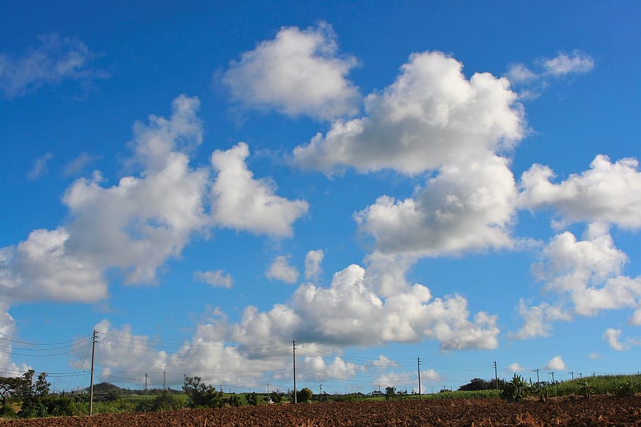 soil mechanics, utility pole, plow, cloud, white cloud, blue sky, wind, trees and plants, field, ishigaki island
