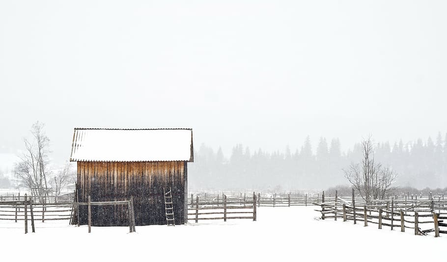 brown, house, surrounded, snow, hut, shed, wooden, shelter, storage, farmland