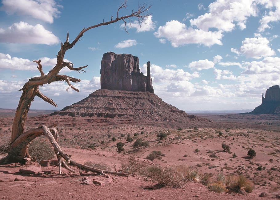 monument valley, sandstone, buttes, arizona, desert, landscape, america, scenic, red, rock