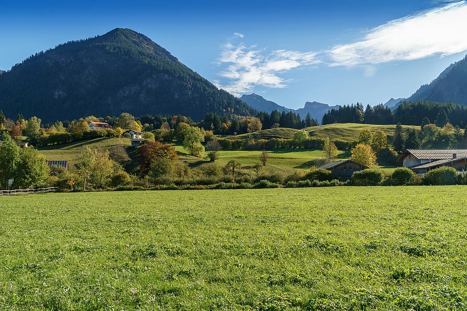 Oberstdorf, Suedwiesen, Allgäu, alpino, montañas, paisaje, senderismo, naturaleza, cielo, bosque
